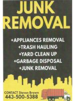 Logo Mr. Clean Green Junk Removal