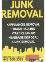 Logo Mr. Clean Green Junk Removal