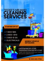 Logo Teedee’s Mr. Maid Services