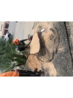 Logo J Pérez Tree Service