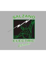Logo Salzano Electric