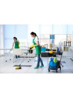 Logo SPOTLESS CLEAN JANITORIAL SERVICES