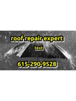 Logo Roof Repair Expert