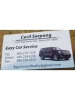 Logo EAZY car Service