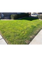 Logo A plus landscape