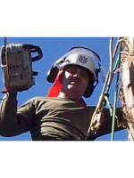 Logo Andy's Tree Service