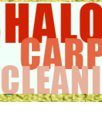 Logo Shalom Carpet cleaning