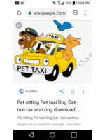 Logo Pet transportation