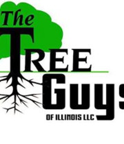 Logo The Tree Guys of Illinois, LLC