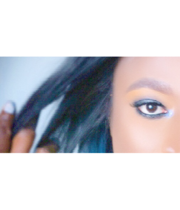 Logo Willie Alexander