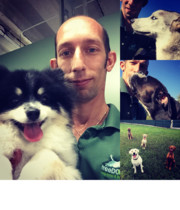 Logo Paws n'​ Tails