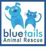 Logo Blue-Tails