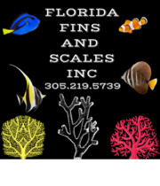 Logo FLORIDA FINS AND SCALES INC