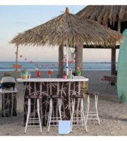 Logo Professional Bartender