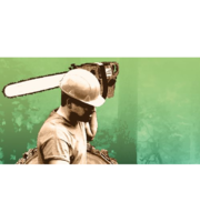 Logo Parrish Tree Service