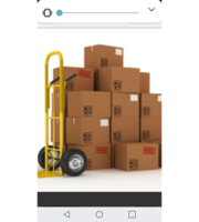 Logo Pro south Movers