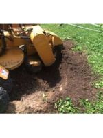 Logo Escape Tree and Stump