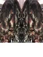 Logo Shear Imagination