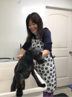 Logo Yuki Dog Grooming