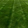Photo #1: Livingston Lawns and Landscaping LLC