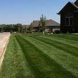 Photo #5: Johnson lawn and landscape  