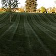 Photo #1: Platinum lawn and landscape