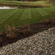 Photo #3: Platinum lawn and landscape