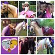 Photo #1: Pony Pals Pony Parties