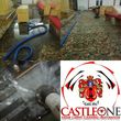 Photo #4: Castle One Rotary Steam Carpet Restoration