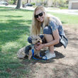 Photo #6: CORE Dog Training