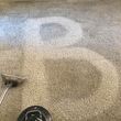 Photo #2: Blue Bird Carpet Care