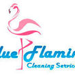 Logo BLUE FLAMINGO CS