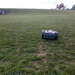 Photo #2: Machine Mowers