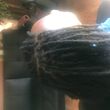Photo #1: Professional African braids