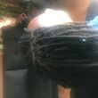 Photo #1: Professional African braids