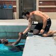 Photo #2: Coach Eugene's Swim Lessons