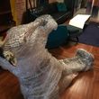 Photo #1: The Proper Movers