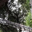 Photo #2: R's Landscaping Tree Service Construction and More