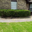 Photo #5: R's Landscaping Tree Service Construction and More