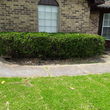 Photo #5: R's Landscaping Tree Service Construction and More
