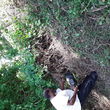 Photo #6: R's Landscaping Tree Service Construction and More