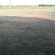 Photo #4: Trac Mowers
