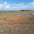 Photo #6: Trac Mowers