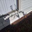 Photo #4: Property Services inc