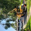 Photo #3: Advanced Tree Care
