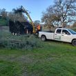 Photo #4: Advanced Tree Care