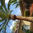 Photo #6: Advanced Tree Care