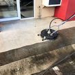 Photo #3: NMF Cleaning Services