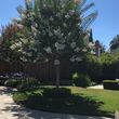 Photo #2: Verbena Landscaping Inc