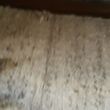 Photo #2: Carpet Cleaning NYC